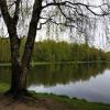 Сладкая парочка :: Андрей Лукьянов