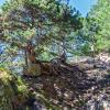 В горах :: Варвара 