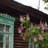 *** :: Валентина Береснева
