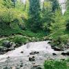Горная река :: Георгиевич 