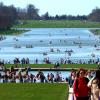 Весна в Версальском парке :: Мишель71 