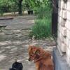 Вопрос :) :: Наталья 