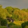 После дождика в субботу 17.05.25г ... :: Jakob Dick