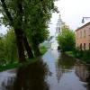 Майский дождь. :: Михаил Колосов 