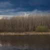 Aspen forest on the bank of the deep Bolshoy Puchkas River on a cloudy spring day | 1 :: Sergey Sonvar