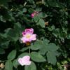 Almaty. :: Murat Bukaev 
