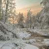 Линдуловская роща :: skijumper Иванов
