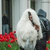 Водные процедуры. :: Николай 