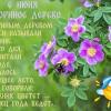 Шиповников день :: Валерий Иванович