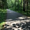 Парковая дорожка!) :: Любовь 