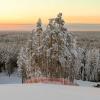 Пухтолова гора :: skijumper Иванов