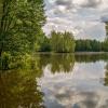 Июньское утро 7 :: Андрей Дворников