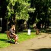 В парке... :: Николай Саржанов