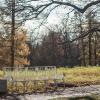 Одинокая осень :: Алёна Сасина
