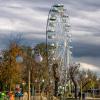 Колесо обозрения :: Игорь Сикорский