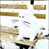 Начало зимы в парке , Снежный котик :: Сергей 