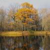ОСЕННЕЕ ОТРАЖЕНИЕ В ПРУДУ :: Валентина 