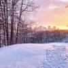 Зимний закат :: Nina Karyuk