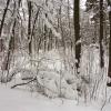 Снежная пора :: Андрей Снегерёв