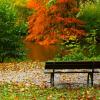 Скамейка с видом на осень :: Юрий. Шмаков