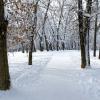 Зимний парк :: Милешкин Владимир Алексеевич