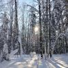 солнце  лес снег :: Владимир 