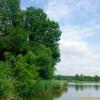 Площанское озеро :: Елена Сухорученкова