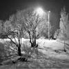 ЗИМНЯЯ НОЧЬ :: Виктор Никитенко