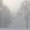Туманное зимнее утро :: Анастасия Логинова