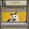 Ёрик на посту :: Ольга Довженко