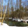 Начало половодья :: Андрей Снегерёв