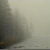 Пришел туман... :: Aleksandr Gal