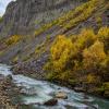 ущелье Трусо :: Осень