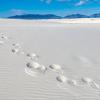 White Sands National Park. New Mexico :: Николай Бабухин
