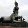 Один из сфинксов Санкт-Петербурга. :: Ирина ***