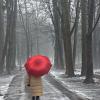 туманное утро :: Виктор Савельев