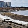 Май...Остатки старой пристани на Юганской Оби. :: Владимир 