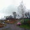 *** :: Валентина Береснева