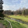 В Павловском парке. :: Татьяна 