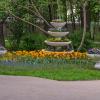 Парк в городе Гомель :: Игорь Сикорский