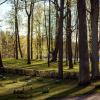 В парке весной :: Анастасия Белякова