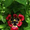 УЙТИ КРАСИВО :: Юрий Вовк