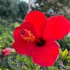 Сердце Земли :: Александр Деревяшкин