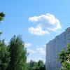 летят отдохнуть на крышу :: Владимир