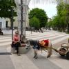 Городские этюды :: Evgeny Mameev