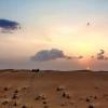 UAE 66 :: Arturs Ancans