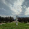 Майский день в парке. :: Ольга