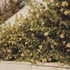 14 КЛОС (305) :: CLOSE WAYS ALL