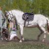 Конкур :: SanSan