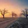 misty morning :: Elena Wymann